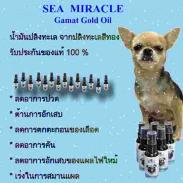 Sea Miracle Gamat Gold Oil for pet