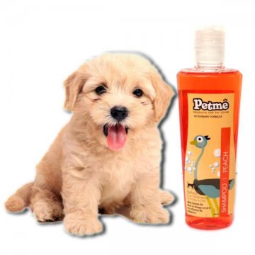 Petme2 (shampoo Peach)