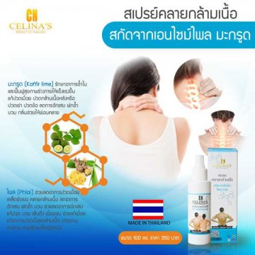 สเปรย์คลายกล้ามเนื้อ เอ็นไซม์ไพลมะกรูด