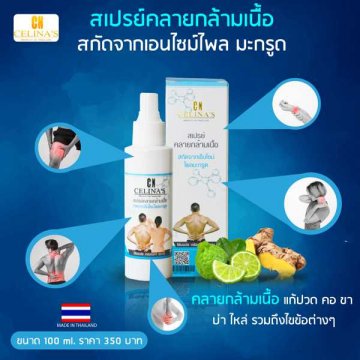 สเปรย์คลายกล้ามเนื้อ เอ็นไซม์ไพลมะกรูด